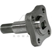 ASAM-SA 30247