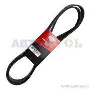 Gates 6PK2013
