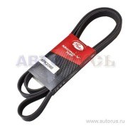 Gates 6PK2260